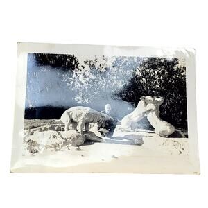 Vtg Man Posing Tiger Statue B&W Monochrome Photography 1940s Found Snapshot